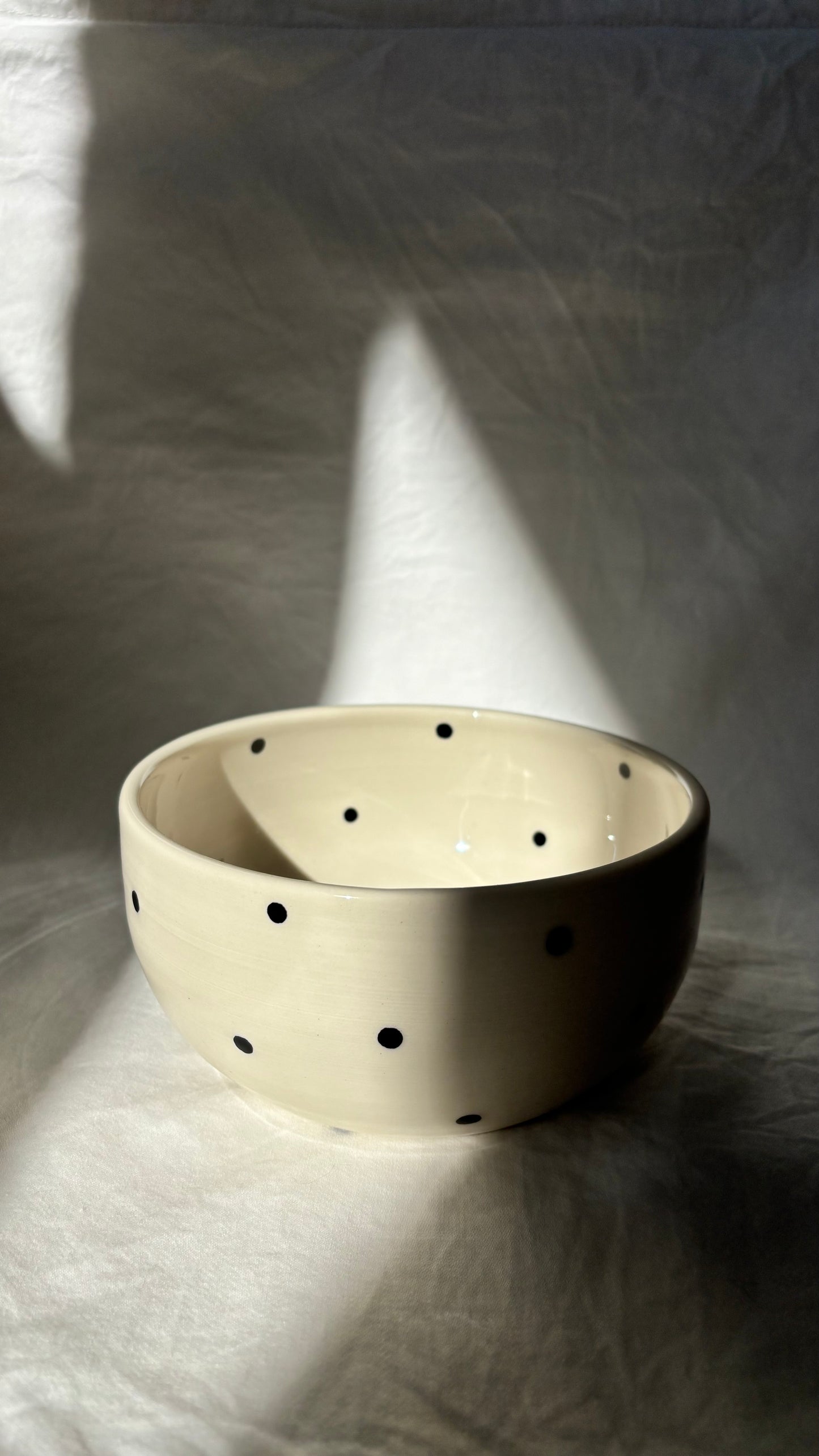 Dotty Breakfast Bowl